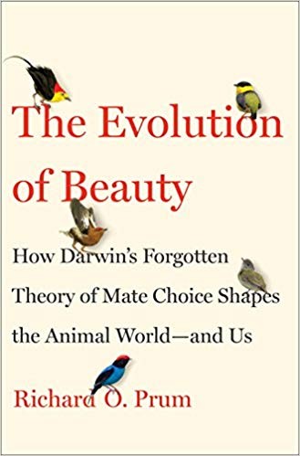 The evolution of beauty