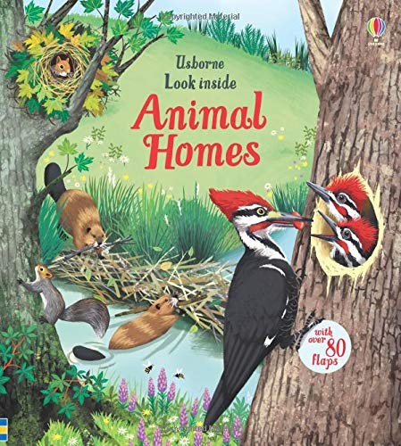 Look Inside Animal Homes by Emily Bone, Maribel Lechuga cover