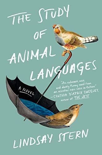 The Study of Animal Languages by Lindsay Stern cover