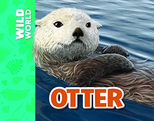 Otter by Meredith Costain, Gary Hanna cover