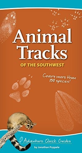 Animal Tracks of the Southwest