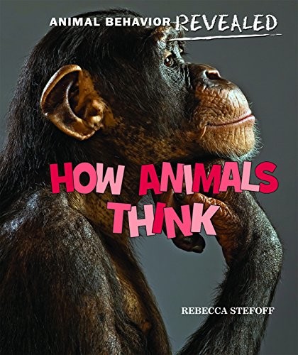 How Animals Think by Rebecca Stefoff cover