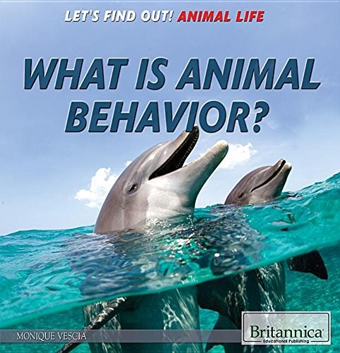 What Is Animal Behavior? by Monique Vescia cover