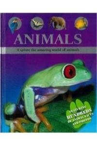 Animals Explore The Amazing World Of Animals by Morgon Sally cover