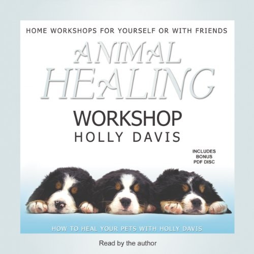 Animal Healing Workshop by Holly Davis cover