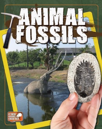 Animal Fossils by Natalie Hyde cover