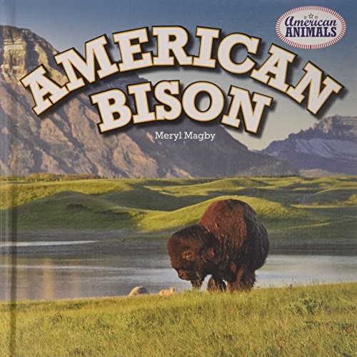 American Animals