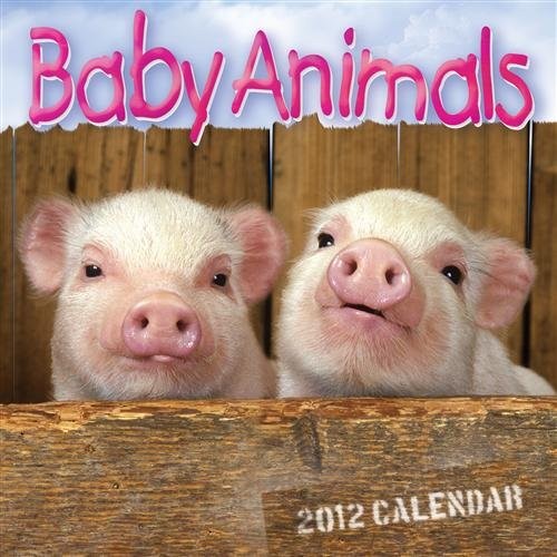 Baby Animals 2012 by  cover