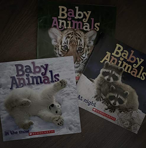 Baby Animals At Night, Baby Animals in the Jungle, Baby Animals, Pets,Baby Animals in the snow