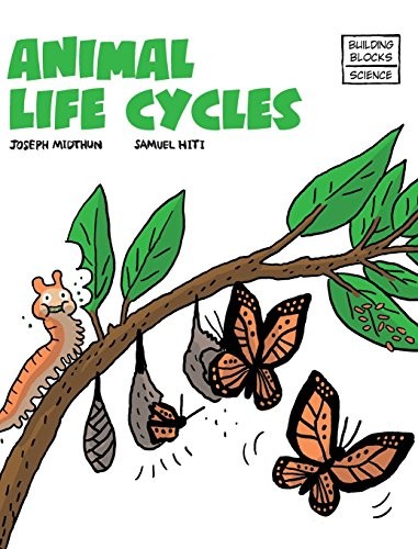 Animal Life Cycles by Joseph Midthun cover
