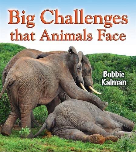Big Challenges That Animals Face by Bobbie Kalman cover
