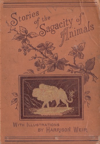 Stories of the Sagacity of Animals by W. H. G. Kingston cover
