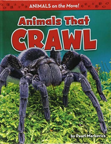Animals That Crawl