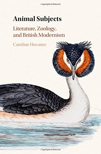 Animal Subjects : Volume 1 by Caroline Hovanec cover