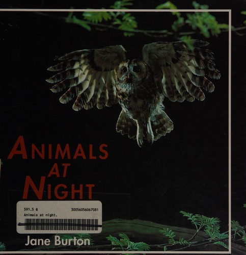 Animals At Night, Burton, 2-4 (Animal Ways)