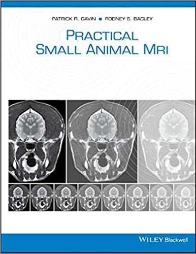 Practical small animal MRI