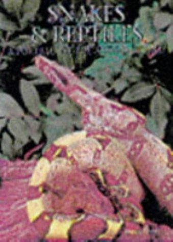 Snakes and Reptiles by Andrew Cleave, First Glance Books, Andrew, MBE Cleave cover