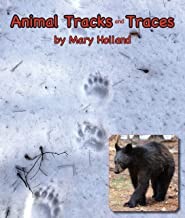 Animal tracks and traces by Mary Holland cover