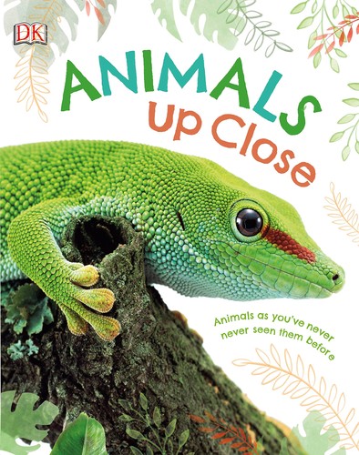 Animals up close