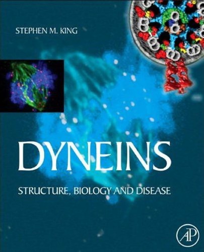Dyneins by Stephen M. King cover