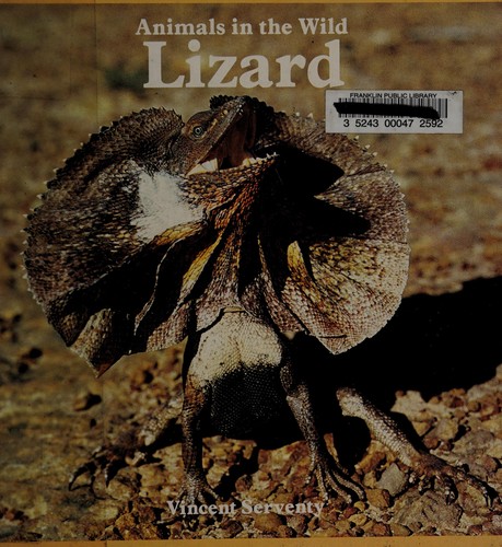Lizard