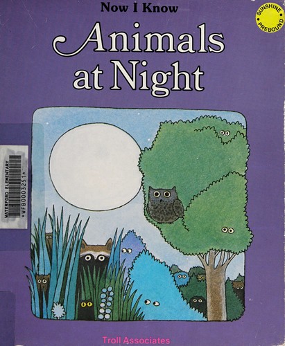 Animals at night