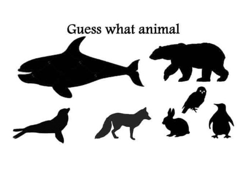 Guess What Animal- Arctic Animals by Computer Mice cover