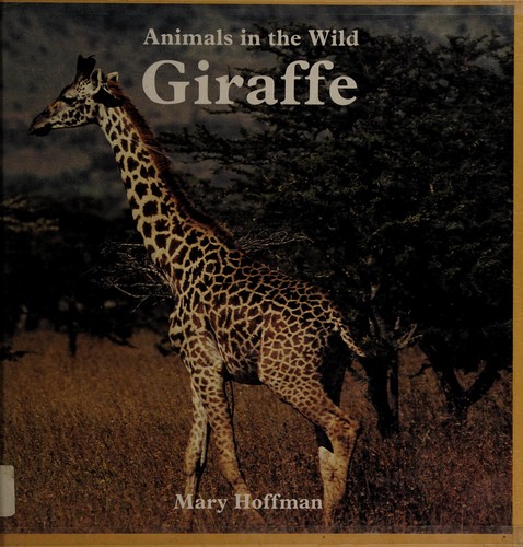 Giraffe by Mary Hoffman cover