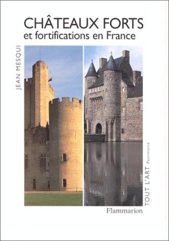 Châteaux forts et fortifications en France by Jean Mesqui cover
