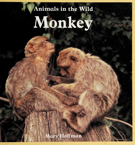 Monkey by Mary Hoffman cover