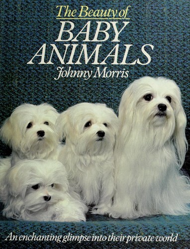 Beauty of Baby Animals by Johnny Morris cover