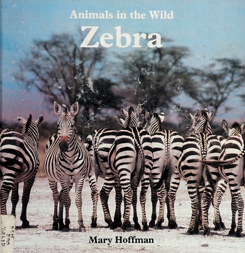 Zebra by Mary Hoffman cover