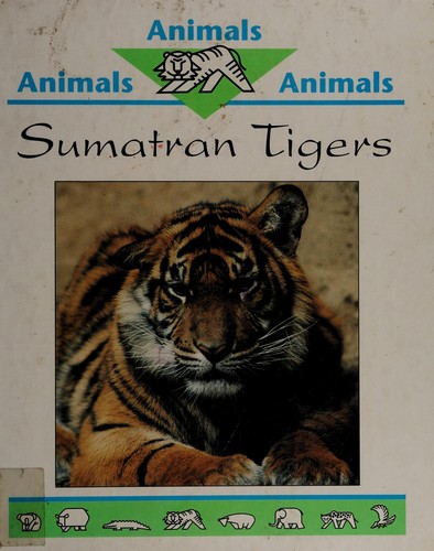 Sumatran Tigers
