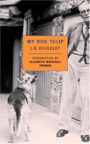 My dog Tulip