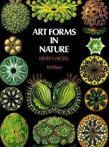 Kunstformen der Natur