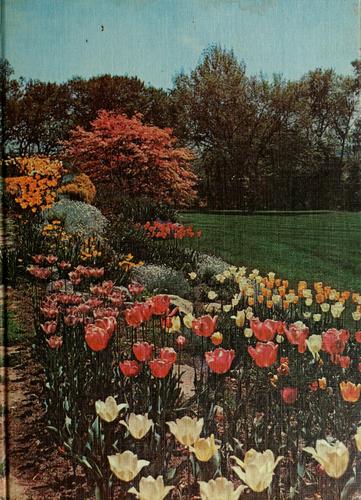 Japanese Flower Arrangement