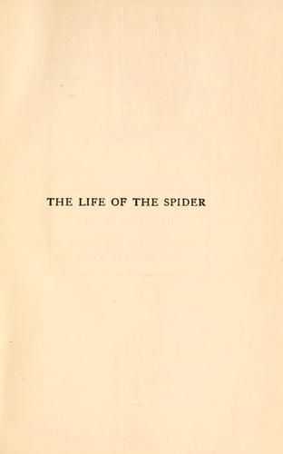 The Life of the Spider