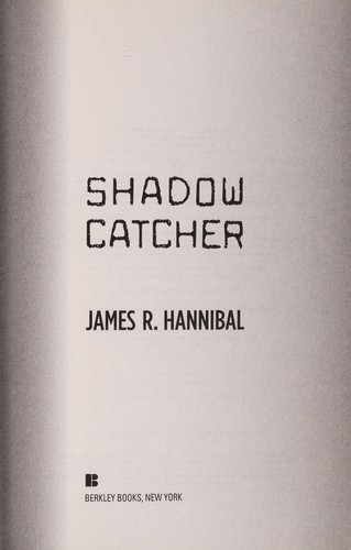 Shadow catcher