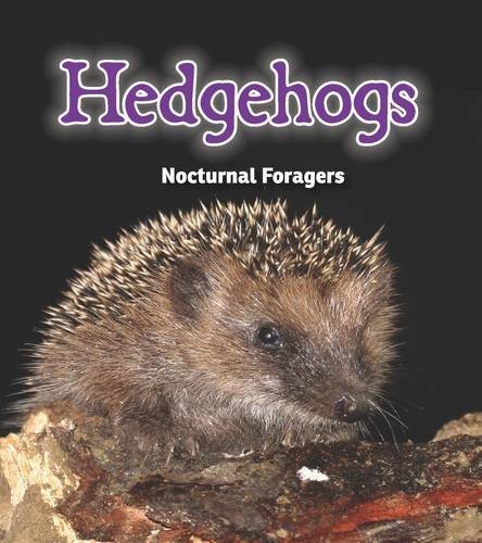Hedgehogs (Read and Learn: Night Safari)