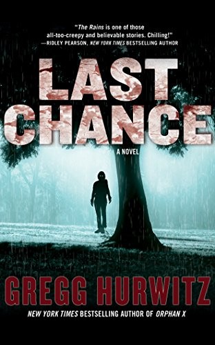 Last Chance: A Novel (The Rains Brothers)