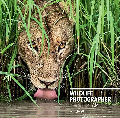 Wildlife Photographer of the Year