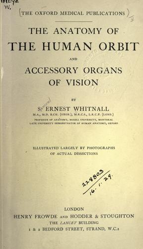 The anatomy of the human orbit and accessory organs of vision