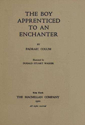 The boy apprenticed to an enchanter
