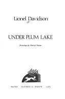 Under Plum Lake Line NW 263
