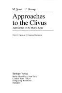 Approaches to the clivus