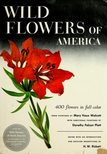 Wild flowers of America