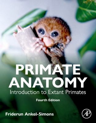 Primate anatomy