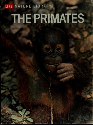The primates