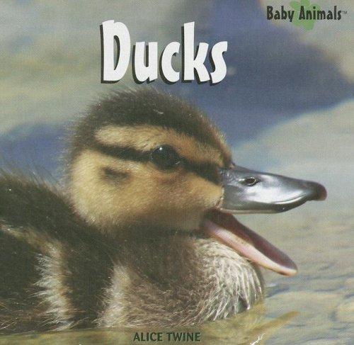 Ducks