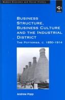 Business Structure, Business Culture and the Industrial District